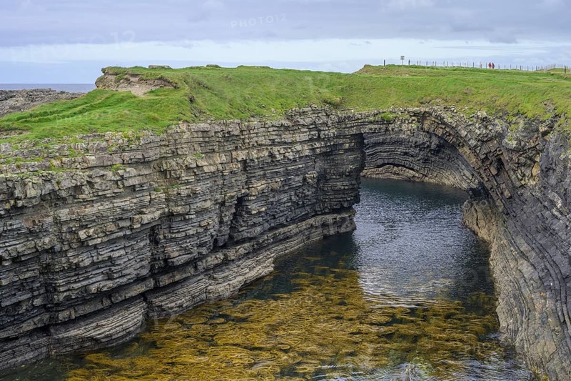 Seaweed in the water at Bridges of Ross, Kilballyowen, County Clare, Ireland