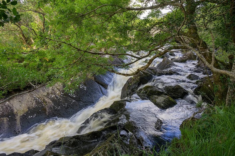 Stream in Killarney National Park, Muckross, Kerry, Ireland