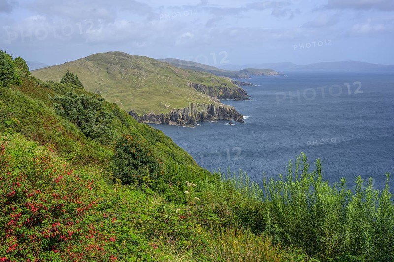 View along the coast, Dzogchen Beara Budistic Centre, Kilnamanagh, County Cork, Ireland