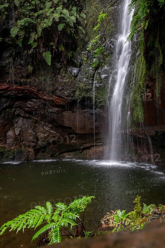 Cascata das 25 Fontes river and waterfall, 25 springs, hiking trail PR6, Levada das 25 Fontes, laurel forest, Rabacal Nature Reserve, Madeira, Portugal