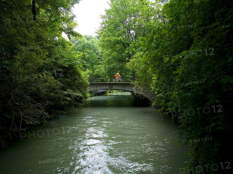 Cyclist rides across bridge, Schwabinger Bach, Englischer Garten, Munich, Bavaria, Germany