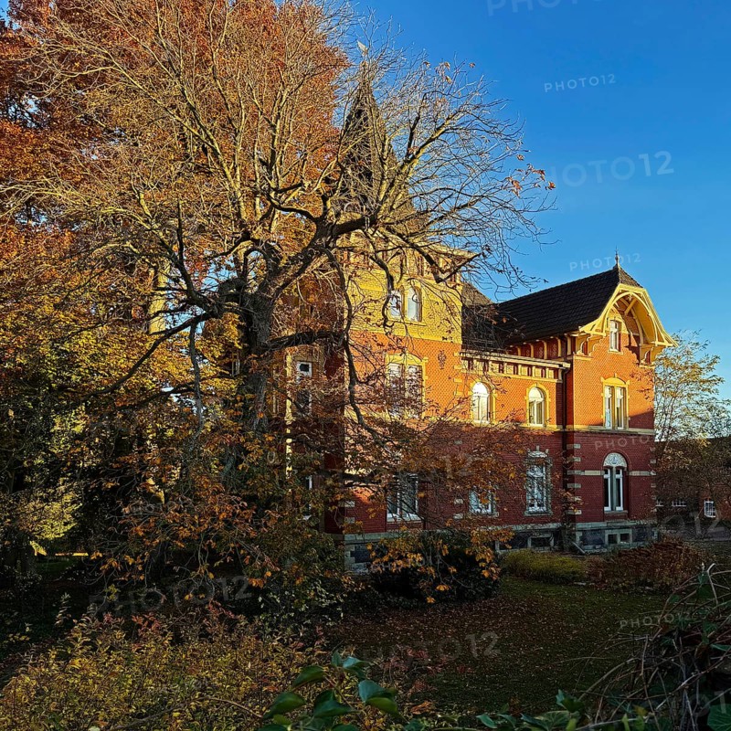 Villa-like house with garden in autumn, Lippstadt, North Rhine-Westphalia, Germany
