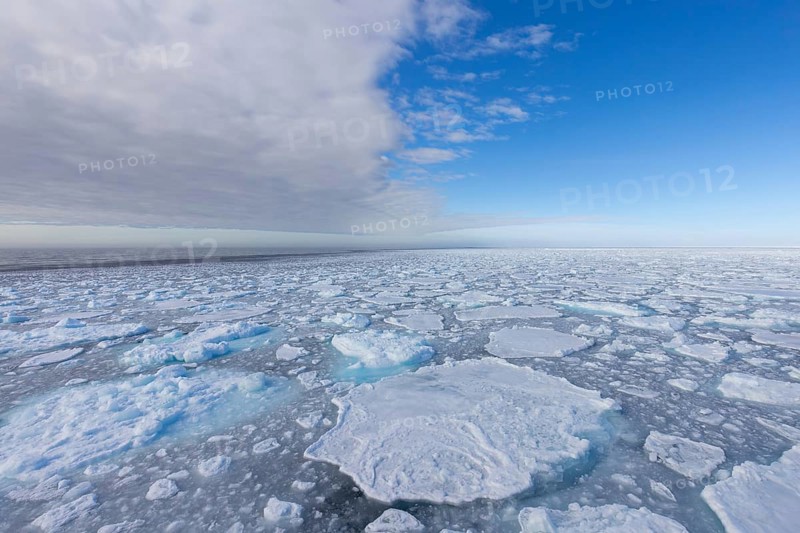 Drift ice / brash ice, floating field of sea ice composed of several ice floes in the Arctic Ocean at Svalbard / Spitsbergen, Norway
