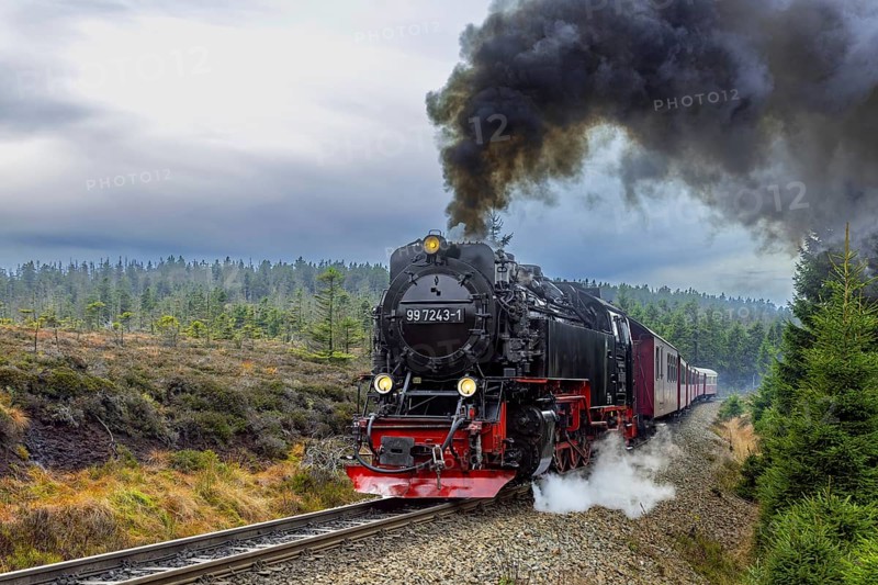 1950s steam train 997243 Neubaulokomotive / Neubaulok riding the Brocken Narrow Gauge railway line in the Harz National park, Saxony-Anhalt, Germany