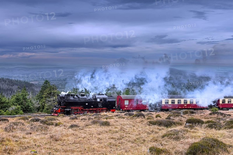 1950s steam train 99236 Neubaulokomotive / Neubaulok riding the Brocken Narrow Gauge railway line in the Harz National park, Saxony-Anhalt, Germany