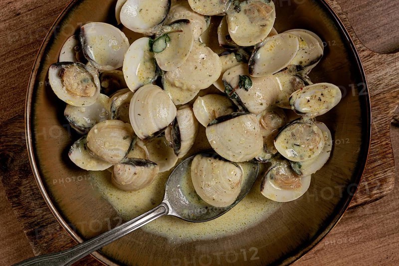 Vongole clams, in cream sauce, homemade, top view, no people