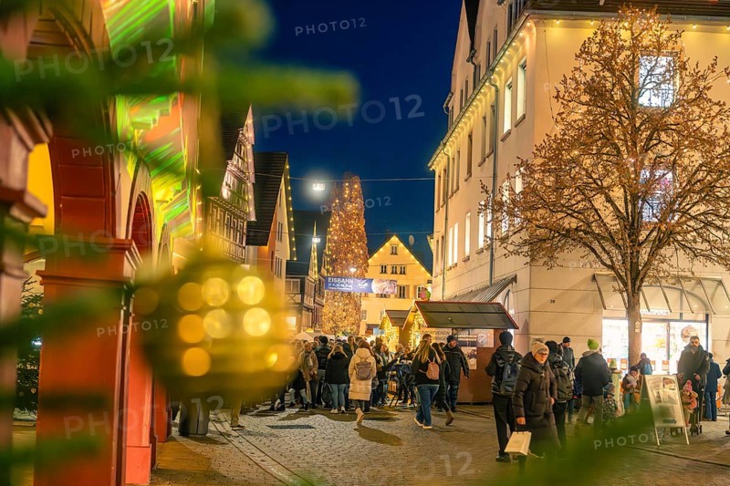 View of an illuminated Christmas tree through blurred pine branches at a Christmas market, Christmas market 2025, Nagold, Black Forest, Calw district, Germany