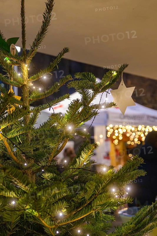 Close-up of an illuminated Christmas tree with a star in front of it, Aidlingen Christmas market, Böblingen district, Germany