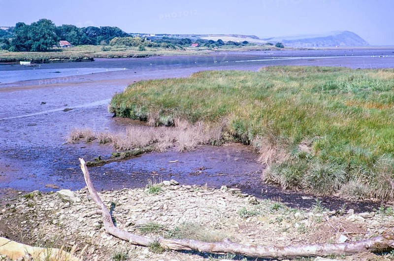 Estuary river mouth of River Nevern at low tide, Parrog, Newport, Pembrokeshire, Wales, UK 5 July 1971 view to south shore