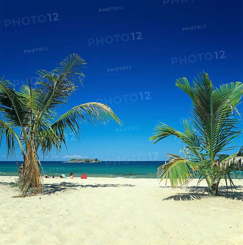 Palm beach near Kande on Lake Malawi, Malawi, Africa, July 2000, vintage, retro, old, historic