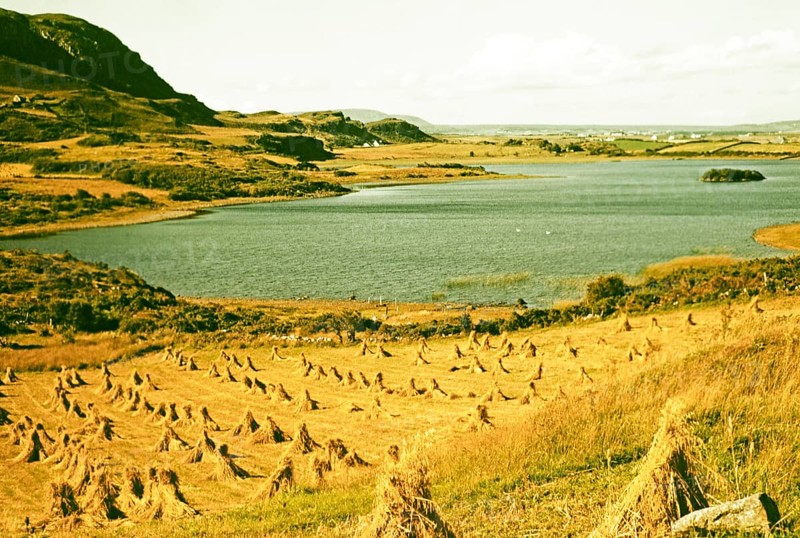 Traditional faming landscape with stooks haystacks, Lough Sessiagh Lake, near Portnablagh, County Donegal, Ireland 1960s