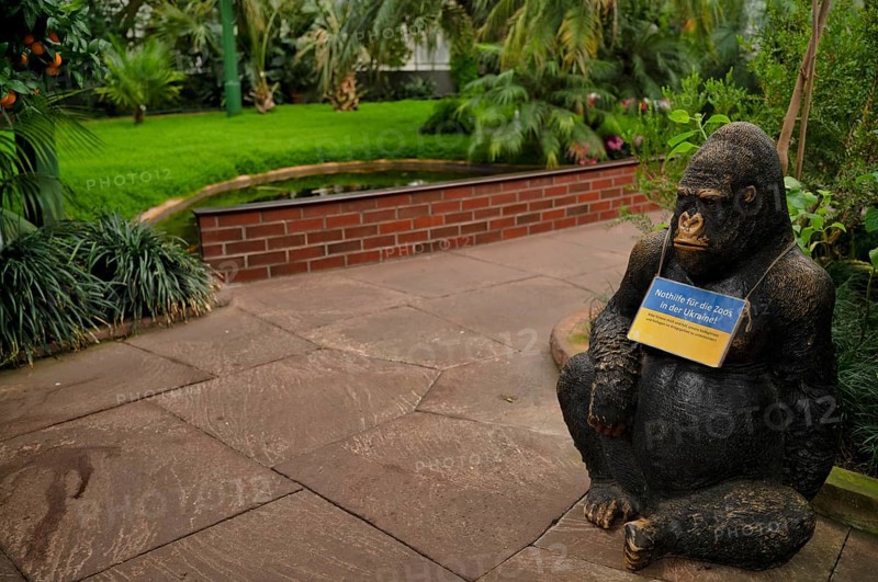 Figure, replica of a gorilla, with sign EMERGENCY AID FOR ZOOS IN UKRAINE, greenhouse, Wilhelma, zoological-botanical garden, Stuttgart, Baden-WÃ¼rttemberg, Germany