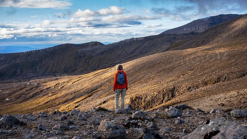 A hiker on the Tama Lake Walk (Tama Lakes Track), evening light, golden hour, Tongariro National Park, North Island, New Zealand