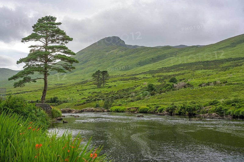 River Erreef, Erreef, County Mayo, Ireland