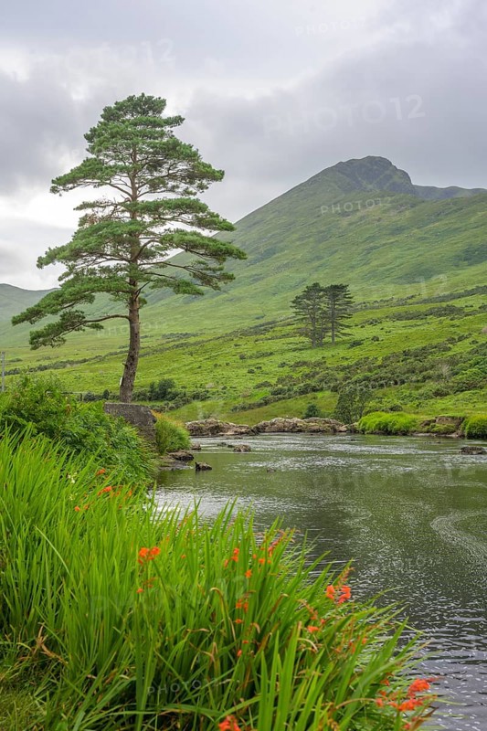 River Erreef, Erreef, County Mayo, Ireland