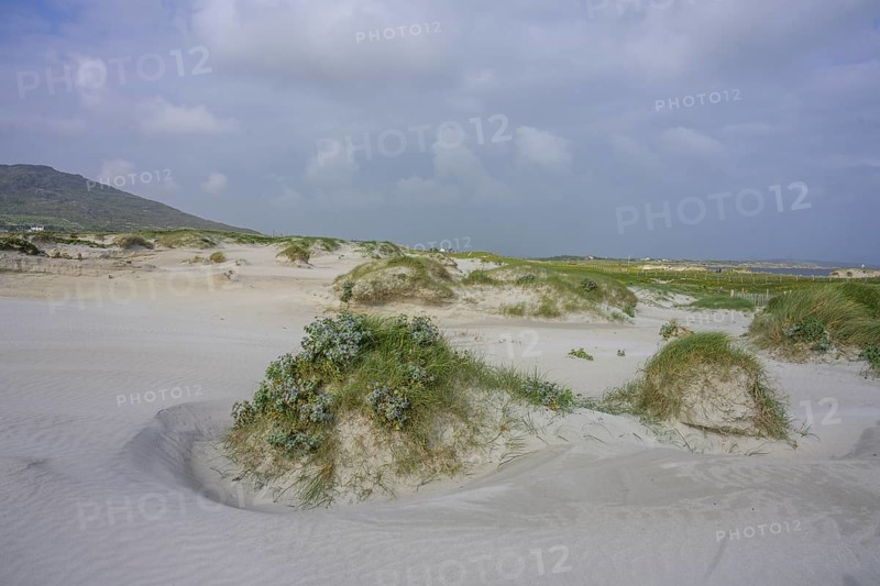 Sand dunes at Dog's Bay, Roundstone, County Galway, Ireland