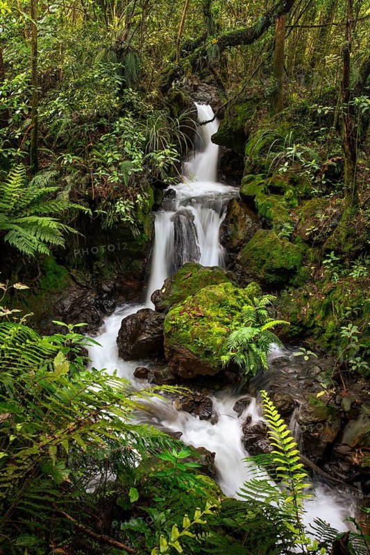 Ketetahi Falls waterfall in the forest, with rocks and ferns. Tongariro National Park, North Island, New Zealand