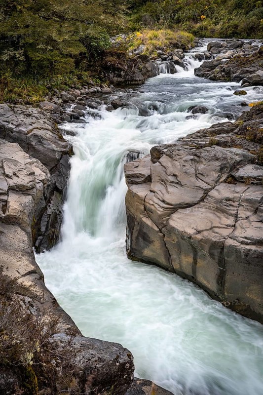 Whakapananui Stream and Mahuia Rapids, river and waterfall. Tongariro National Park, North Island, New Zealand