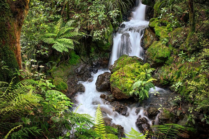 Ketetahi Falls waterfall in the forest, with rocks and ferns. Tongariro National Park, North Island, New Zealand