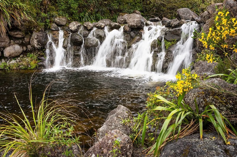 Waterfall at Whakapananui Stream. Yellow broom on the edge. Tongariro National Park, North Island, New Zealand