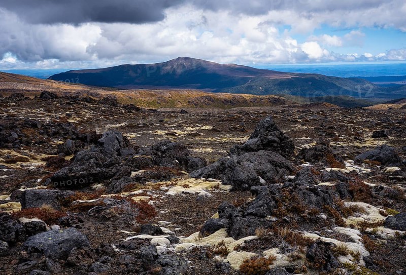 Volcanic landscape along Bruce Road. Different colored braids on rocks. In the back, Mount Hauhungatahi. Tongariro National Park, North Island, New Zealand