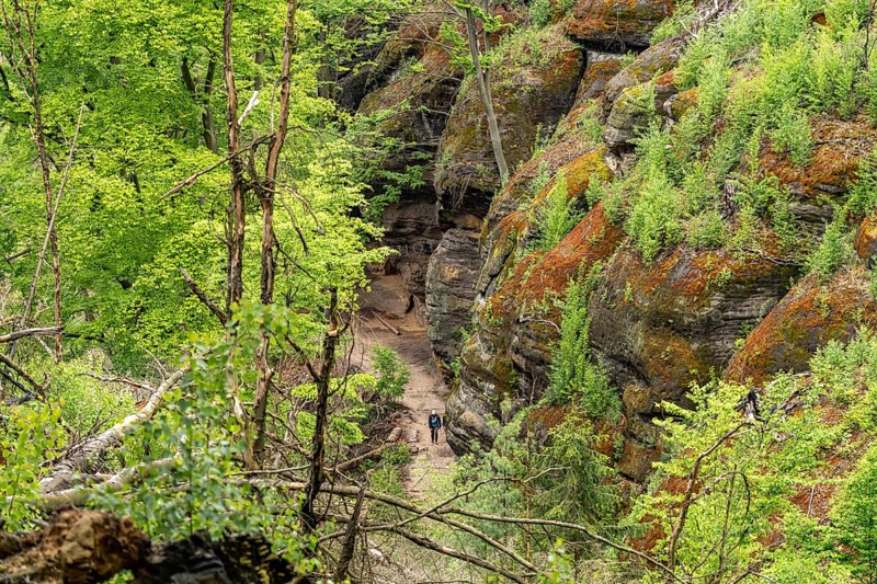 Hiking trail in the Bohemian Switzerland National Park near HÅ™ensko, Czech Republic