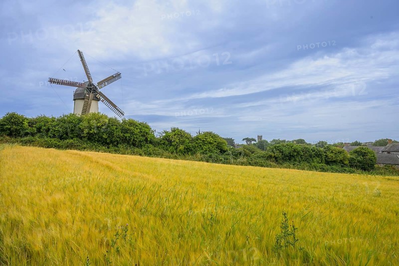 Cornfield and the Great Windmill, Skerries, County Dublin, Ireland