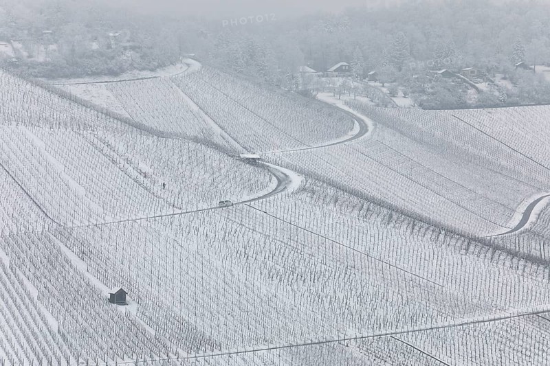 Snowy vineyards in the Stuttgart region in winter. Winter view of the vineyards in Fellbach, Kappelberg, Germany