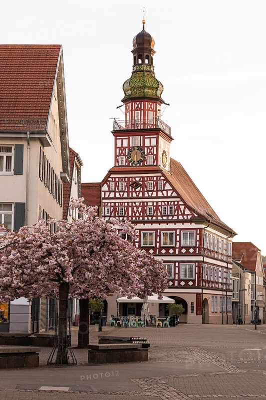 Kirchheim unter Teck, Baden-WÃ¼rttemberg, MarktstraÃŸe with historic half-timbered town hall at sunrise in spring and cherry blossom