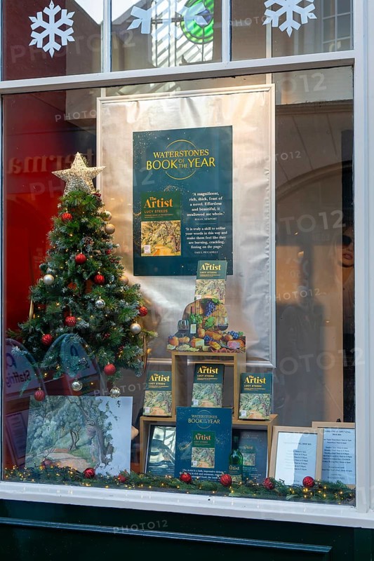 Waterstones Book of the Year, The Artist by Lucy Steed, books in window display of Waterstones bookshop, Ipswich, Suffolk, England, UK