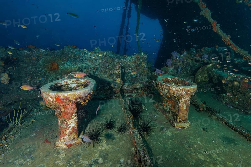 Underwater photo of two toilet bowls toilet bowl in sunken shipwreck, Andaman Sea, Wreck King Cruiser, Phuket, Thailand