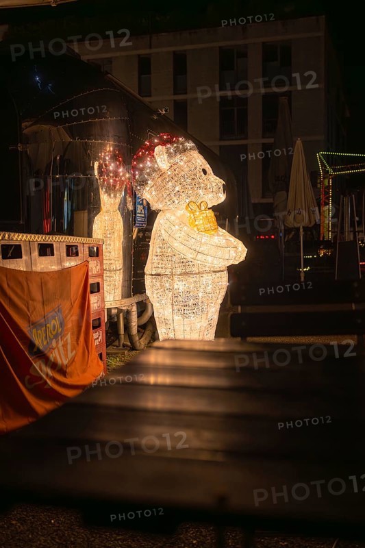 Illuminated bear as part of Christmas decoration in an atmospheric night setting, Sindelfingen, BÃ¶blingen district, Germany