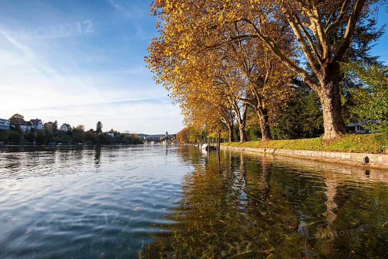 Autumn atmosphere on the banks of the Rhine, Rhine promenade near Schaffhausen, Canton of Schaffhausen, Switzerland