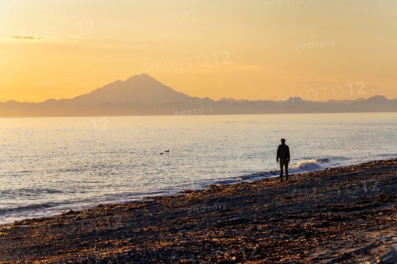 Young man walking along the beach at sunset, view across Cook Inlet to white mountain peaks of Mount Redoubt, Aleutian Range Mountains, Anchor Point, Anchor River State Recreation Area, Alaska, USA