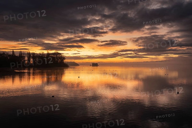 Morning lighting, water reflections, silhouettes on the lakeside near Radolfzell am Lake Constance, on the left the Mettnau peninsula with Love Island, district of Constance, Baden-WÃ¼rttemberg, Germany
