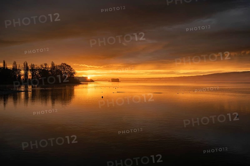Morning lighting, water reflections at sunrise, silhouettes on the lakeside near Radolfzell am Lake Constance, on the left the Mettnau peninsula with Love Island, district of Constance, Baden-WÃ¼rttemberg, Germany
