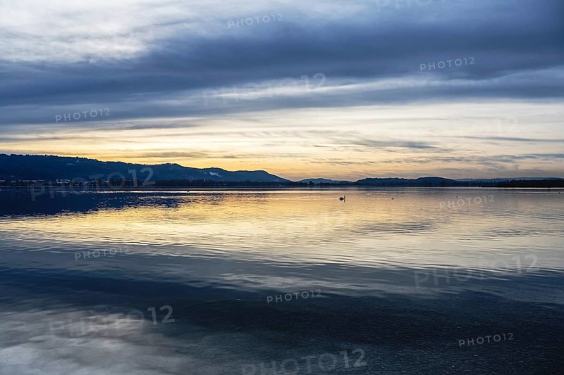 Evening lighting, water reflections, on the lakeside near Radolfzell am Lake Constance, Konstanz district, Baden-WÃ¼rttemberg, Germany