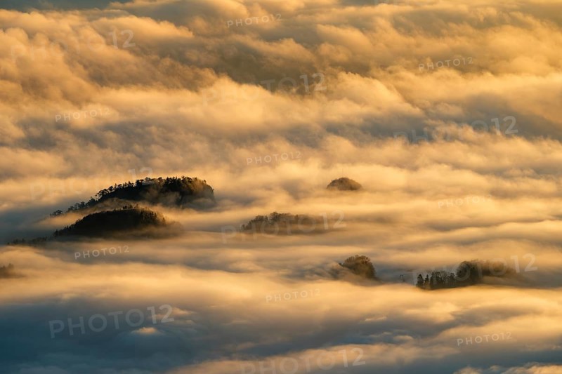 Wooded mountain peaks looking out of high fog in morning light, Barmsteine, Marktschellenberg, Berchtesgadener Land, Upper Bavaria, Bavaria, Germany