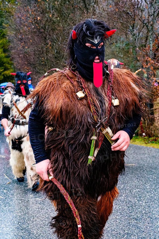 Krampus, Bischofswiesen, Berchtesgadener Land, Upper Bavaria, Bavaria, Germany