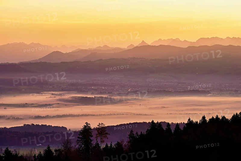 View from Horben of the Reuss Valley covered in fog, behind it the Glarus Alps in the light of the rising sun, Beinwil-Freiamt, Canton, Aargau, Switzerland