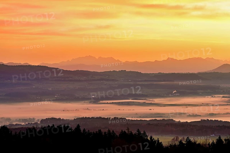 View from Horben of the Reuss Valley covered in fog, behind it the Alpstein with the SÃ¤ntis in the light of the rising sun, Beinwil-Freiamt, Canton, Aargau, Switzerland