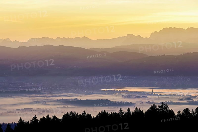View from Horben of Lake Zug with the city of Cham and Zug covered in fog, behind it the snow-capped mountains FlÃ¼brig and VrenelisgÃ¤rtli in the light of the rising sun, Beinwil-Freiamt, Canton, Aargau, Switzerland