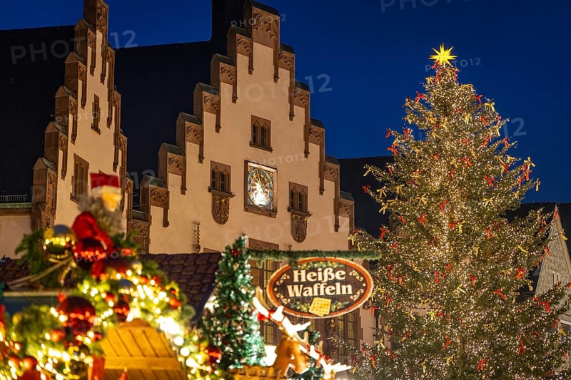 The lights of the Mrs. Holle Christmas tree on the Frankfurt Christmas market glow in the evening, Römerberg, Frankfurt am Main, Hesse, Germany