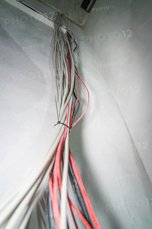 Close-up of cables running side by side along a whitewashed wall, electrician, new building, Germany