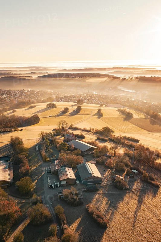 Fields and farm in a slightly foggy, hilly landscape under morning light, Gechingen, Hecken and GÃ¤u region, Calw district, Germany