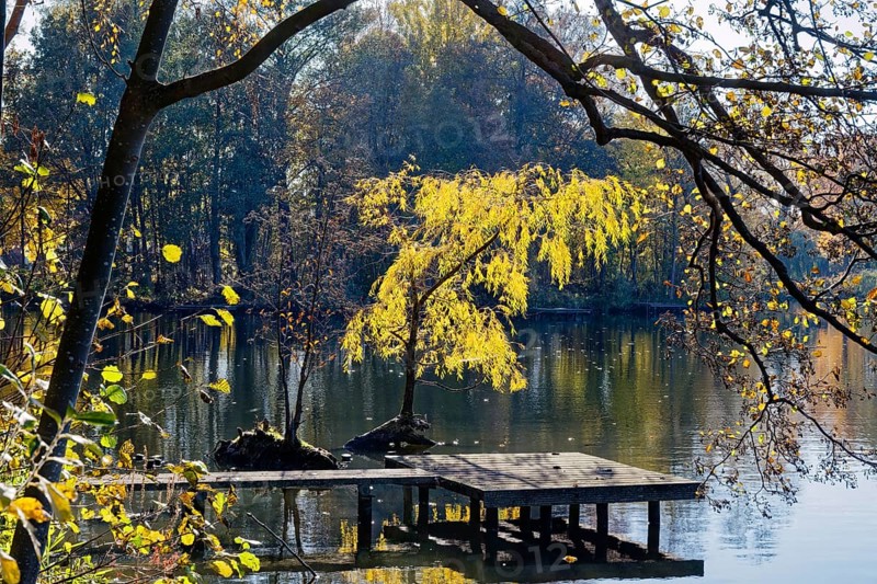 Autumn colors and a fishing platform on Sandbrack, a lake in the Kirchwerder district of Hamburg. FÃ¼nfhausen, Kirchwerder, Hamburg, Germany