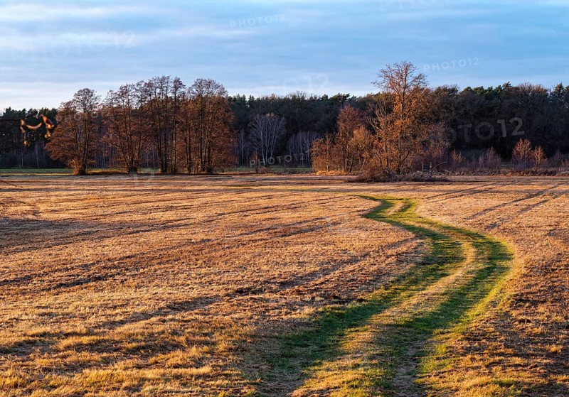 Evening lane on an autumnal field in the countryside near LÃ¼bben in the Dahme-Spreewald district in Lower Lusatia, UNESCO Spreewald Biosphere Reserve. LÃ¼bben, Brandenburg, Germany