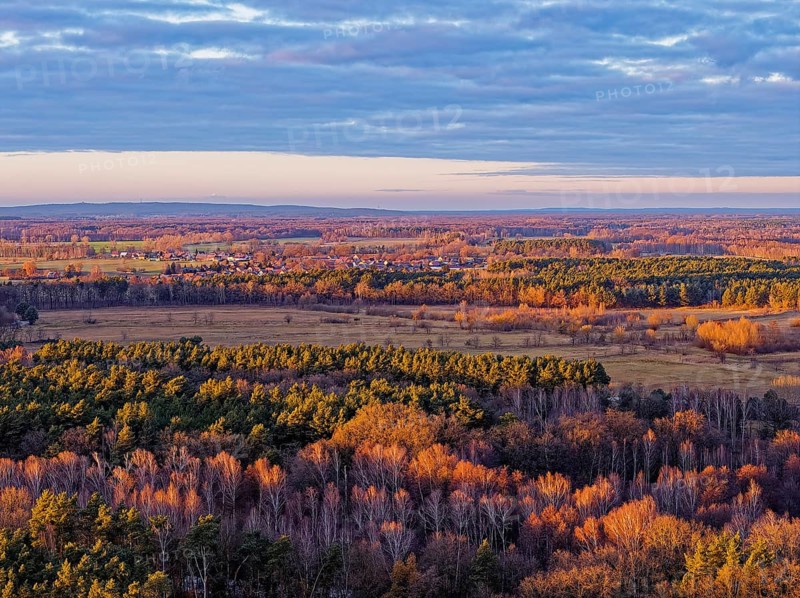 Mixed autumn forest in the evening light near LÃ¼bben in the Dahme-Spreewald district in Lower Lusatia. Spreewald UNESCO Biosphere Reserve. aerial view. LÃ¼bben, Brandenburg, Germany
