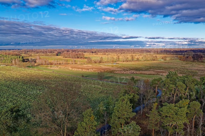 Pines in the countryside of GroÃŸ LÃ¼bbenau in the Oberspreewad-Lausitz district, UNESCO Spreewald Biosphere Reserve. aerial view. LÃ¼bbenau, Brandenburg, Germany