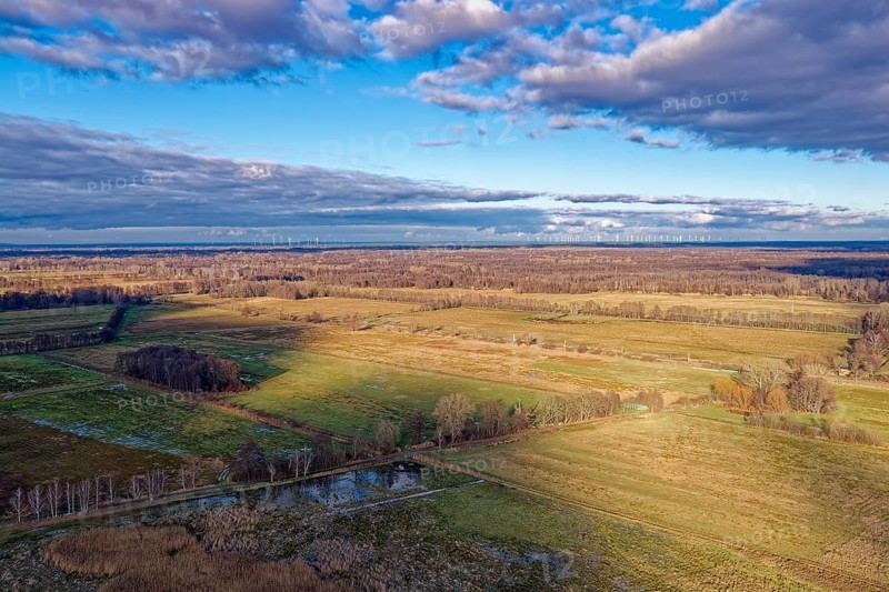Forest and meadow landscape of GroÃŸ LÃ¼bbenau in the Oberspreewad-Lausitz district, UNESCO Spreewald Biosphere Reserve. aerial view. LÃ¼bbenau, Brandenburg, Germany